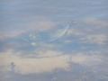 Image file: _2/photo43.jpg