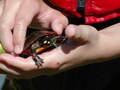 Image file: _2/photo44.jpg