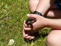 Image file: _3/photo46.jpg