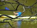 Image file: _3/photo56.jpg