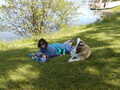Image file: _3/photo58.jpg
