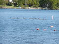 Image file: _3/photo61.jpg