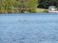 Image file: _3/photo62.jpg