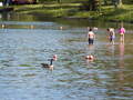 Image file: _3/photo64.jpg