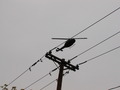 Image file: _2/photo40.jpg