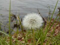 Image file: photo02.jpg
