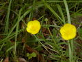 Image file: photo04.jpg