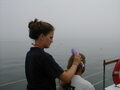 Image file: _2/photo042.jpg