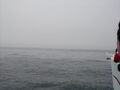 Image file: _3/photo050.jpg