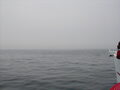 Image file: _3/photo051.jpg