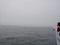 Image file: _3/photo052.jpg