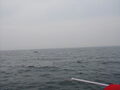 Image file: _3/photo058.jpg