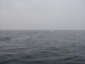 Image file: _3/photo060.jpg