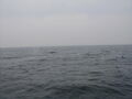 Image file: _3/photo061.jpg
