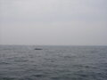 Image file: _3/photo064.jpg