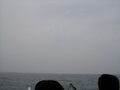 Image file: _3/photo065.jpg