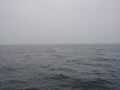 Image file: _3/photo066.jpg