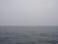 Image file: _3/photo067.jpg