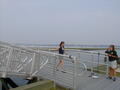 Image file: _4/photo089.jpg
