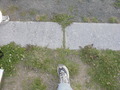 Image file: _4/photo095.jpg