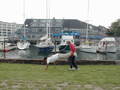 Image file: _5/photo100.jpg