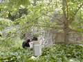 Image file: _5/photo120.jpg