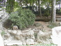 Image file: _6/photo121.jpg