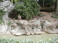 Image file: _6/photo122.jpg