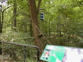 Image file: _6/photo123.jpg