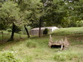 Image file: _6/photo124.jpg