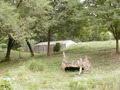 Image file: _6/photo125.jpg