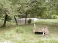 Image file: _6/photo126.jpg