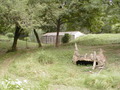 Image file: _6/photo127.jpg