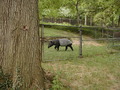 Image file: _6/photo129.jpg