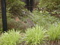Image file: _6/photo131.jpg