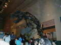 Image file: _6/photo132.jpg