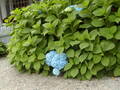 Image file: _3/photo44.jpg