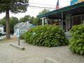 Image file: _3/photo45.jpg
