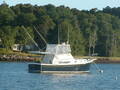 Image file: _2/photo32.jpg