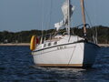 Image file: _2/photo40.jpg