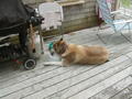 Image file: photo07.jpg