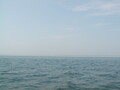 Image file: _1/photo01.jpg