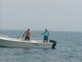 Image file: _1/photo04.jpg