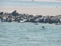 Image file: _1/photo10.jpg