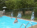 Image file: _1/photo08.jpg