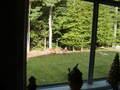 Image file: photo01.jpg