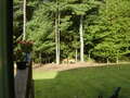 Image file: photo02.jpg