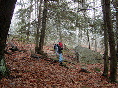 Image file: photo02.jpg