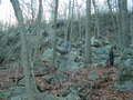 Image file: _2/photo46.jpg