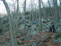 Image file: _2/photo47.jpg